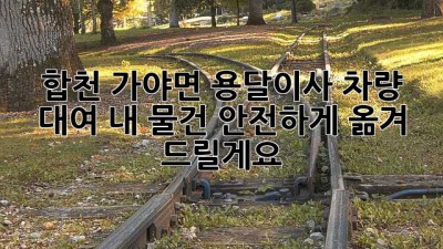 합천 가야면 용달이사 차량 대여: 내 물건, 안전하게 옮겨 드릴게요!